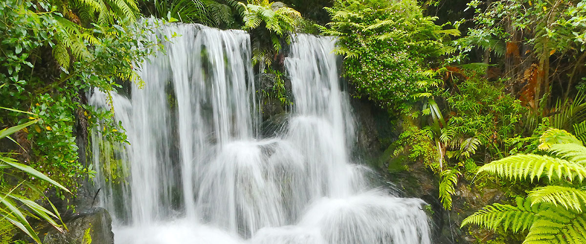 Waterfall, Rainbow Springs (Rotorua)