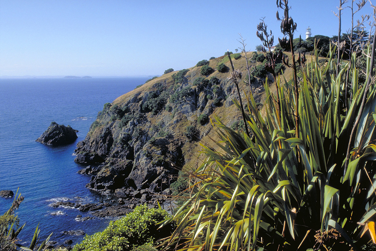NZ 14 A New Zealand headland