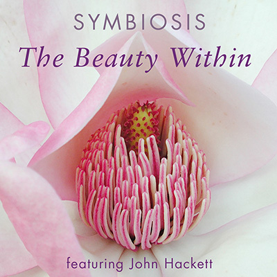 The artwork for The Beauty Within by Symbiosis