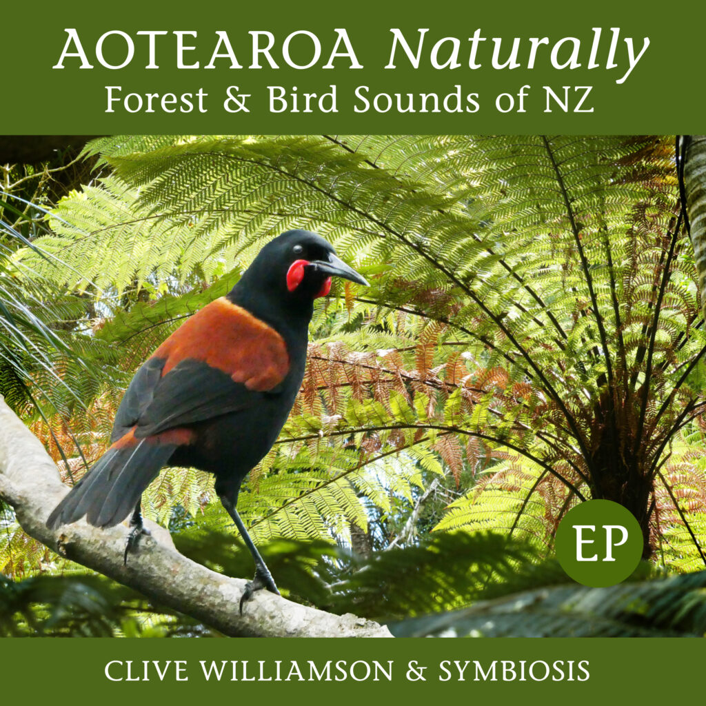 Aotearoa-Naturally-FC Aotearoa Naturally - Forest & Birds Sounds of NZ